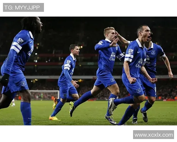 2018年英超精彩对决布莱顿主场迎战埃弗顿球队表现分析与赛后点评 2018年英超精彩对决布莱顿主场迎战埃弗顿球队表现分析与赛后点评