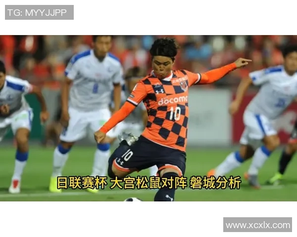 大宫松鼠与横槟FC激战正酣谁能在这场较量中笑到最后 大宫松鼠与横槟FC激战正酣谁能在这场较量中笑到最后