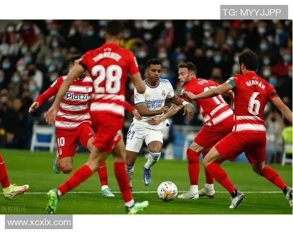 巴勒莫与都灵对决分析球队状态战术特点及历史交锋记录