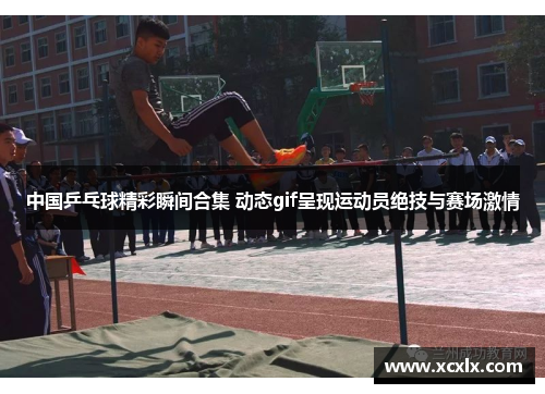 中国乒乓球精彩瞬间合集 动态gif呈现运动员绝技与赛场激情