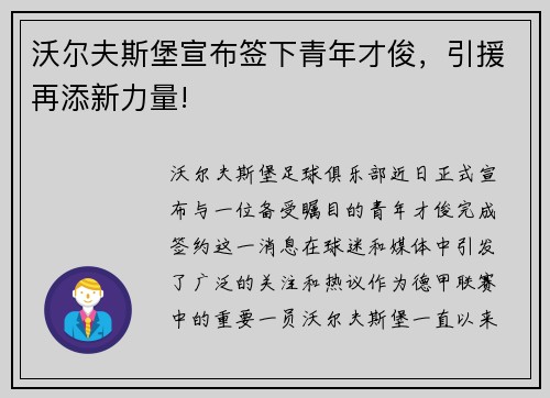 沃尔夫斯堡宣布签下青年才俊，引援再添新力量!