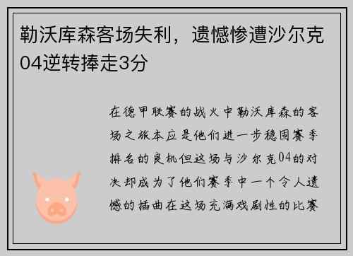 勒沃库森客场失利，遗憾惨遭沙尔克04逆转捧走3分
